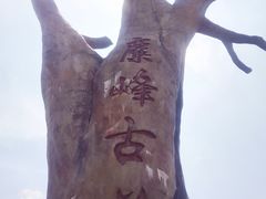 -长沙黑麋峰国家森林公园