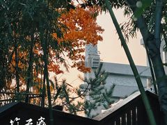 -竹子庵公园