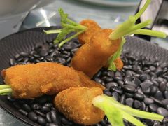 -丁老爷子苏香圆