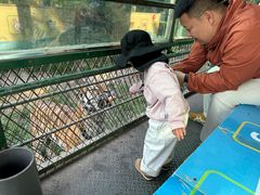 -五龙山野生动物王国