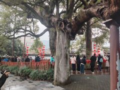 -新安江山水画廊风景区