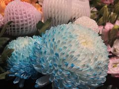 -爱尚幸福鲜花(上地实体店)