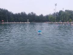 -柳浪游泳场
