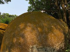 -火炉山森林公园