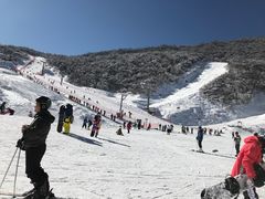 -太子岭滑雪场