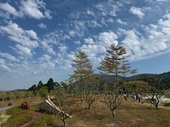 -水濂山森林公园