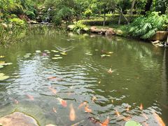 -惠州金海湾嘉华度假酒店