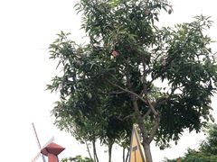 -汕头星城湾欢乐世界