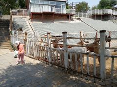 -北京鹿世界主题园