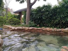 -阳江温泉(阳东区)