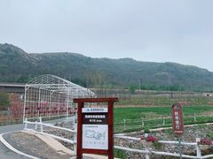 -大连铭湖国际观光牧场
