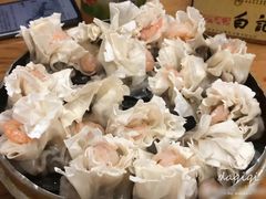 -白记饺子馆多伦道店