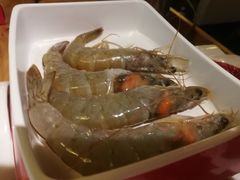 -大龙燚火锅