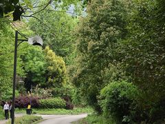 -樱桃山旅游景区