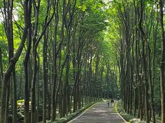-宜兴龙背山森林公园