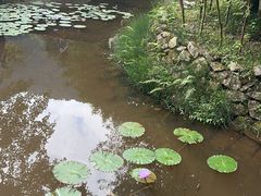 -刘伯温故里景区百丈漈