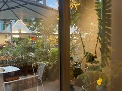 -花神·轻食简餐·咖啡馆·花卉绿植(荷兰花卉小镇店)