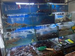 -桔子海鲜烧烤大排档(台东店)