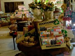 -大象粑粑造纸公园