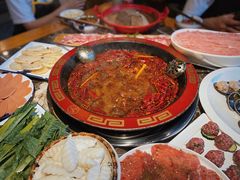 牛油红锅-蜀辣居鲜货老火锅(红牌楼店)