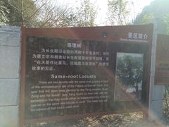 -华清宫景区