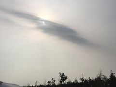 -哈尔滨大剧院