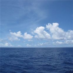 -薇兰专业脱毛连锁机构