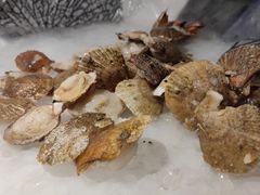 -韩盛炭火烤肉(万达广场店)
