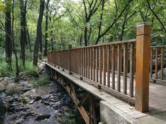 -云岫谷游猎自然风景区