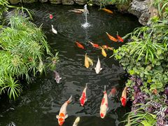 -聚福宝合苑食府(南头镇店)