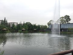 -成飞公园