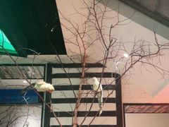 -可口香·非遗老号烧烤(南岗直营店)