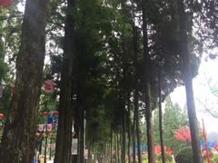 -井冈山风景名胜区