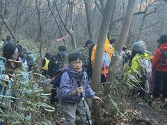 -安吉龙王山风景区