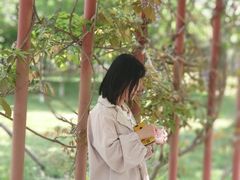 -琴岛之星摩天轮