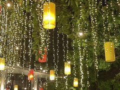-河内西湖莲花自助餐厅