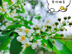 -陕西省西安植物园