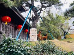 -龙华寺