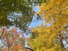 -国家植物园南园