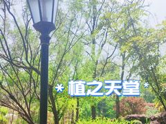 -昆明植物园