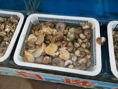 -鼓歌海鲜舫·手抓海鲜(大学城店)
