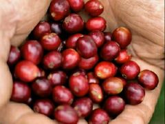 -UNIUNI(凯瑟琳广场店)