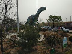 -诸城服务区-停车场