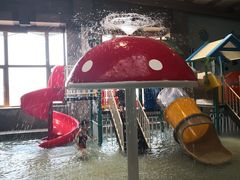 -弘安丽水温泉酒店