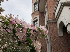 -天津津利华酒店