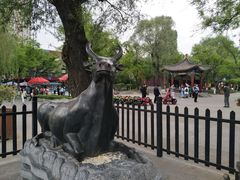 -文瀛公园