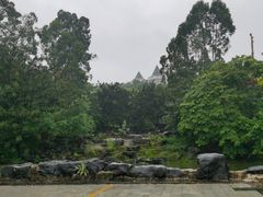 -南宁市凤岭儿童公园