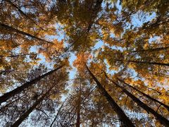 -长春市南湖公园