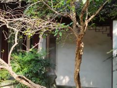 -秋霞圃