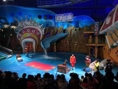 -烟台海昌鲸鲨海洋公园